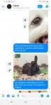 Screenshot_20190424-113054_Messenger.jpg